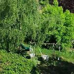 Cosy Guest house *