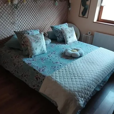 Guest house Cosy