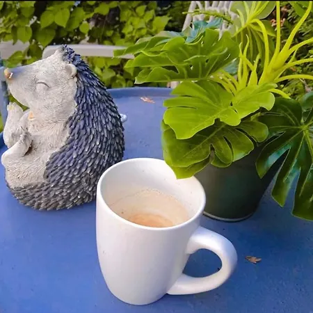 Cosy Affittacamere *