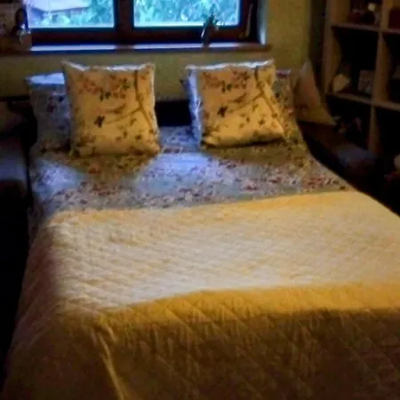 Cosy Buhl