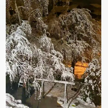 Cosy